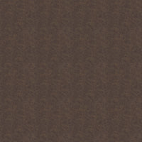 Austin Taupe