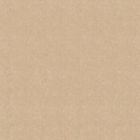 Vintage Velvet Sand