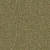 Jura Fern