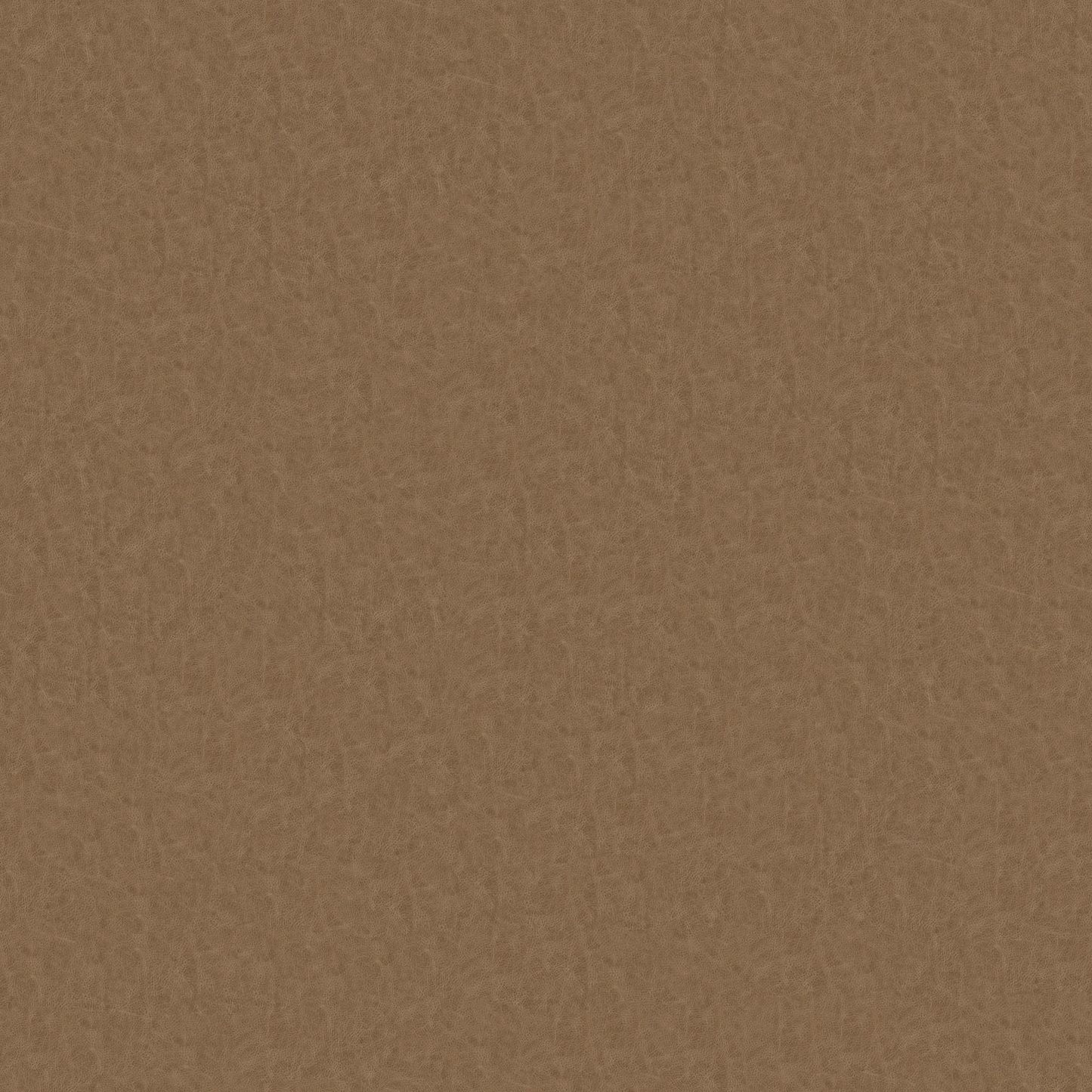 Rancho Taupe