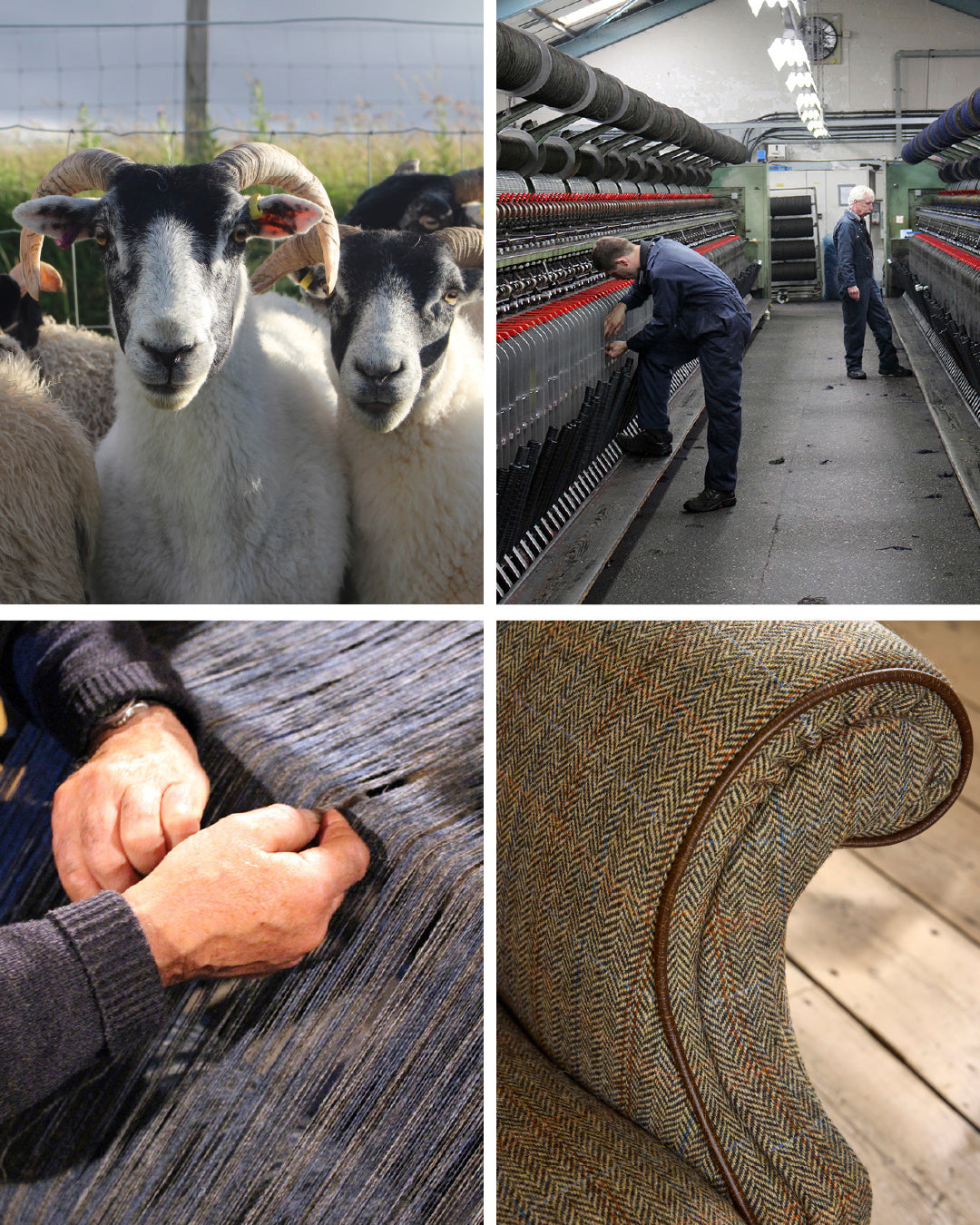 Celebrating Wool Month 2026