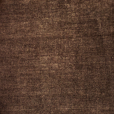 Manolo Bark