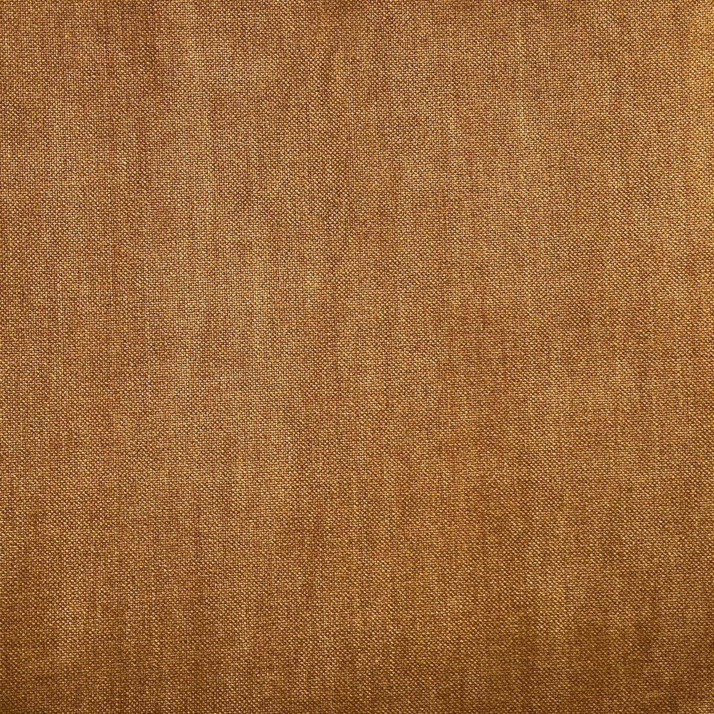 Manolo Cinnamon