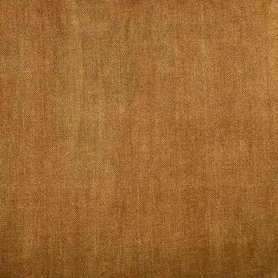 Manolo Cinnamon