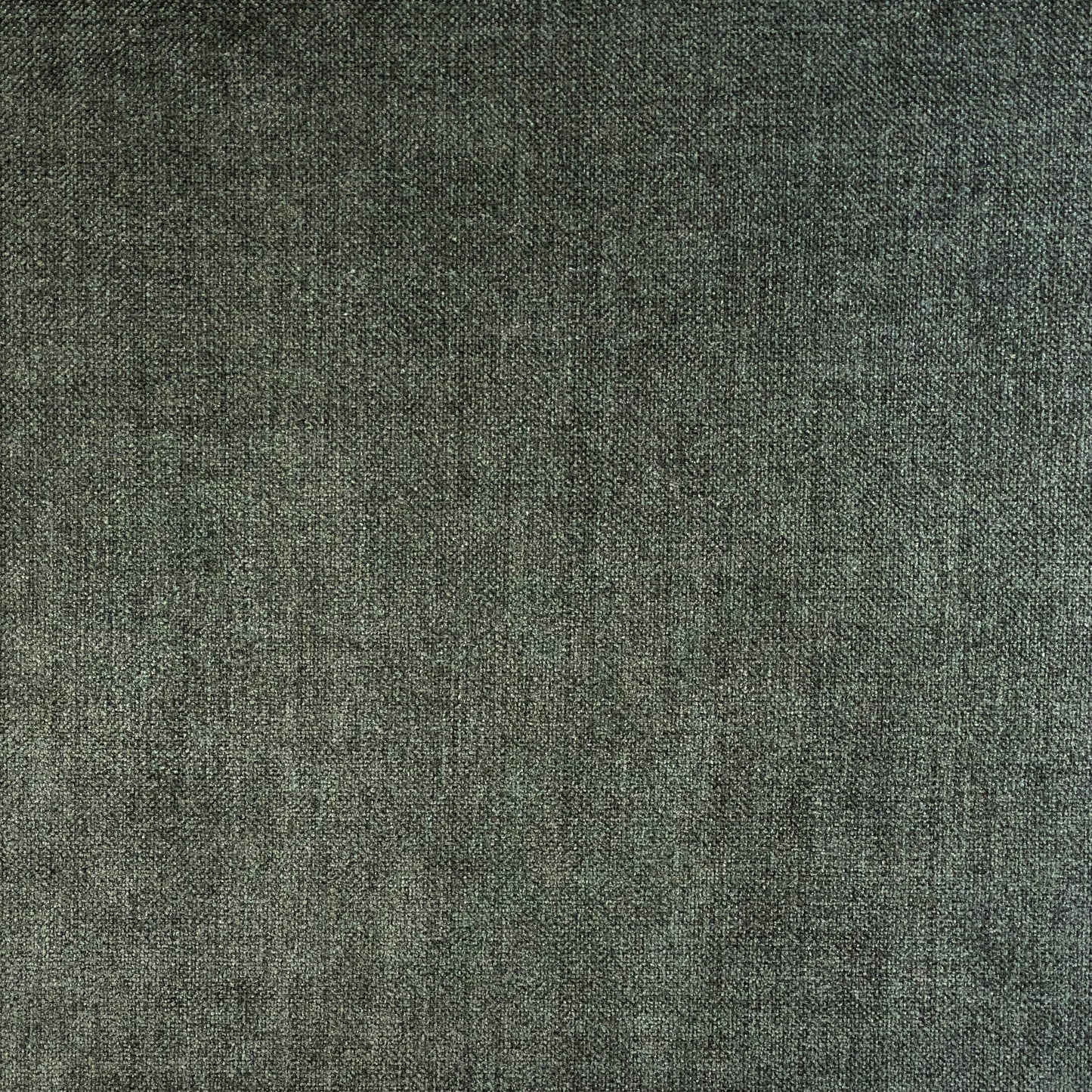Manolo Spruce