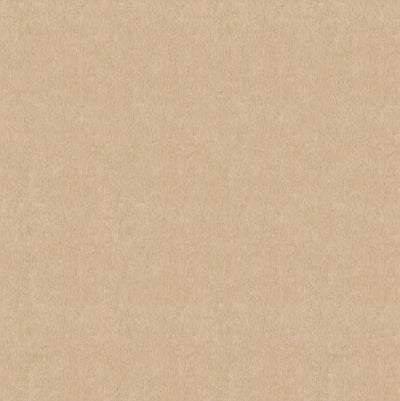 Vintage Velvet Sand