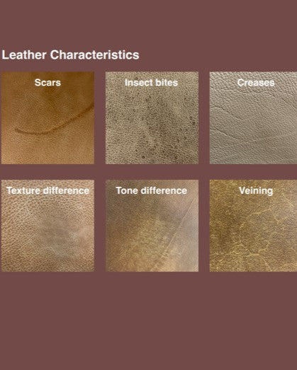 Illustration of leather characteristics with labels on a brown background